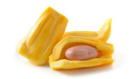 5 Efek Samping Biji Nangka Rebus yang Jarang Diketahui