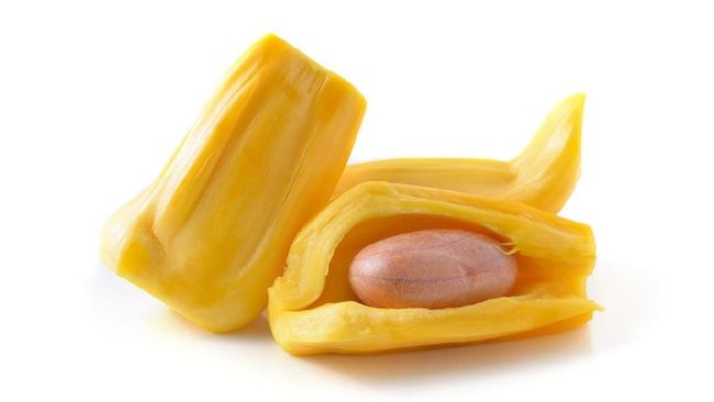 biji nangka rebus sebagai camilan tradisional yang mengenyangkan