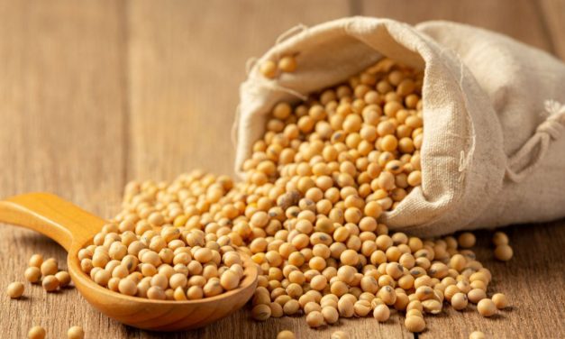 Inovasi Pengolahan Tauco: Dari Produk Basah ke Bentuk Bubuk