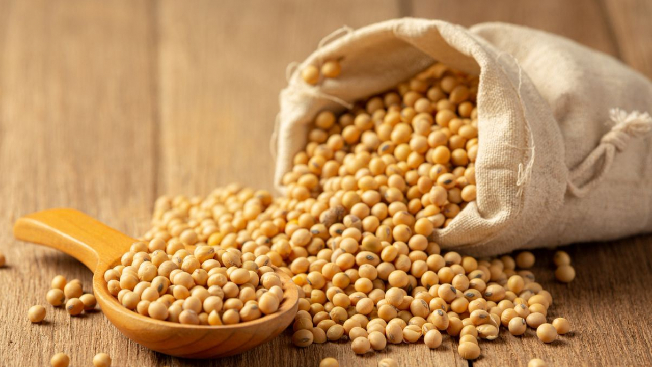 Transformasi tauco tradisional menjadi bubuk melalui teknologi pangan