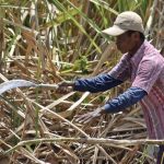 Kejagung dan KPK Usut Dugaan Korupsi HGU di Lahan TNI AU