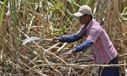 Kejagung dan KPK Usut Dugaan Korupsi HGU di Lahan TNI AU