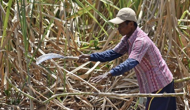 Kejagung dan KPK Usut Dugaan Korupsi HGU di Lahan TNI AU