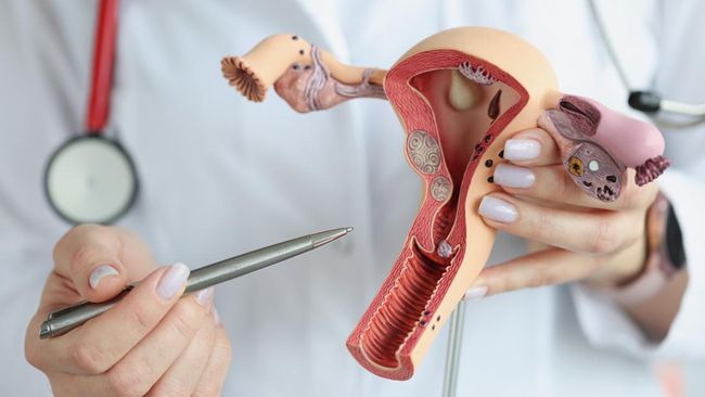 Kanker Serviks: Dapat Dicegah Melalui Vaksinasi Dan Skrining Dini