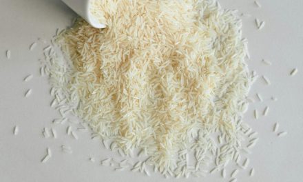 Besaran Zakat Fitrah dan Fidyah 2026 Resmi Ditetapkan Baznas