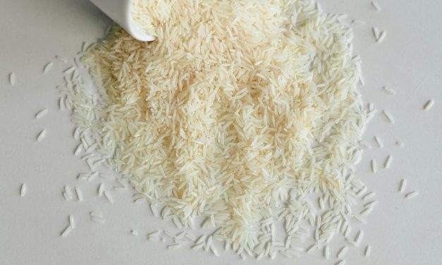 Besaran Zakat Fitrah dan Fidyah 2026 Resmi Ditetapkan Baznas