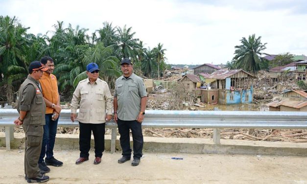 Dari Alam ke Rekening Gelap: Fenomena Green Financial Crime di Indonesia