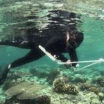 Pemprov Kaltim Perkuat Konservasi Laut untuk Lindungi Ekosistem