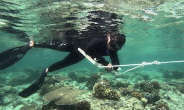 Pemprov Kaltim Perkuat Konservasi Laut untuk Lindungi Ekosistem