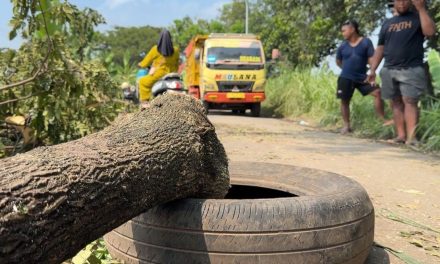 Warga Pasuruan Tutup Jalan, Protes Dampak Aktivitas Tambang