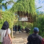 Dapur Tara, Destinasi Kuliner yang Menghidupkan Budaya Flores