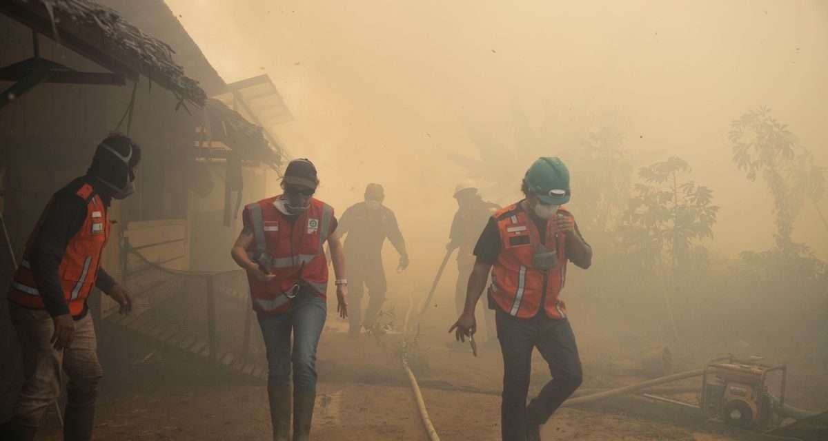 Karhutla Dekati Pusat Rehabilitasi Orangutan Ketapang, BNPB Kerahkan Water Bombing Cegah Api Meluas