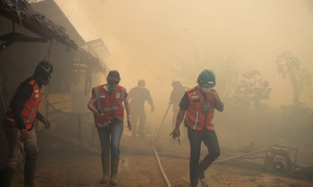 Karhutla Dekati Pusat Rehabilitasi Orangutan Ketapang, BNPB Kerahkan Water Bombing Cegah Api Meluas