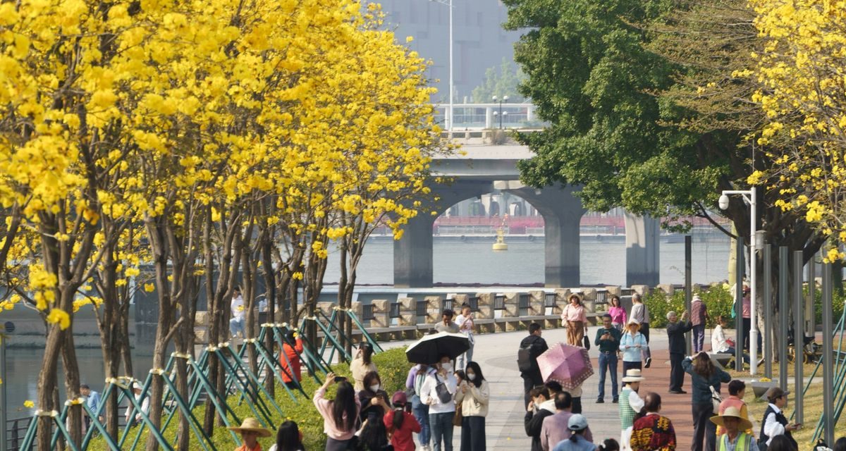 China Perketat Aturan Keluar-Masuk Mulai 15 September 2026, Wisatawan Wajib Perhatikan Ketentuan Baru