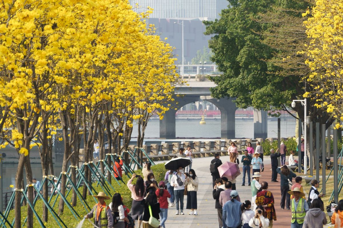 aturan keluar masuk China