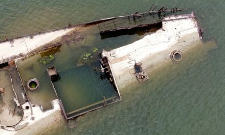 Sungai Danube Mengering Akibat Gelombang Panas Eropa Ungkap Bangkai Kapal Nazi dan Fosil Mamut