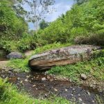 Legenda Batu Sawah, Kisah Ular Raksasa di Balik Asal-usul Nama Messawa Mamasa