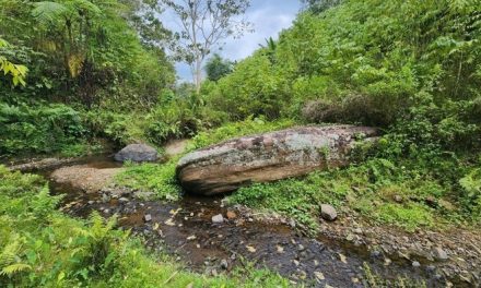 Legenda Batu Sawah, Kisah Ular Raksasa di Balik Asal-usul Nama Messawa Mamasa